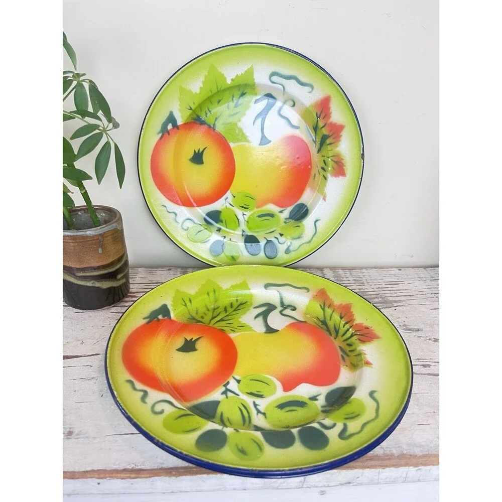 Vintage Graniteware Plates (Set Of 2) Fruit Design Farmhouse Kitchen Decor Retro
